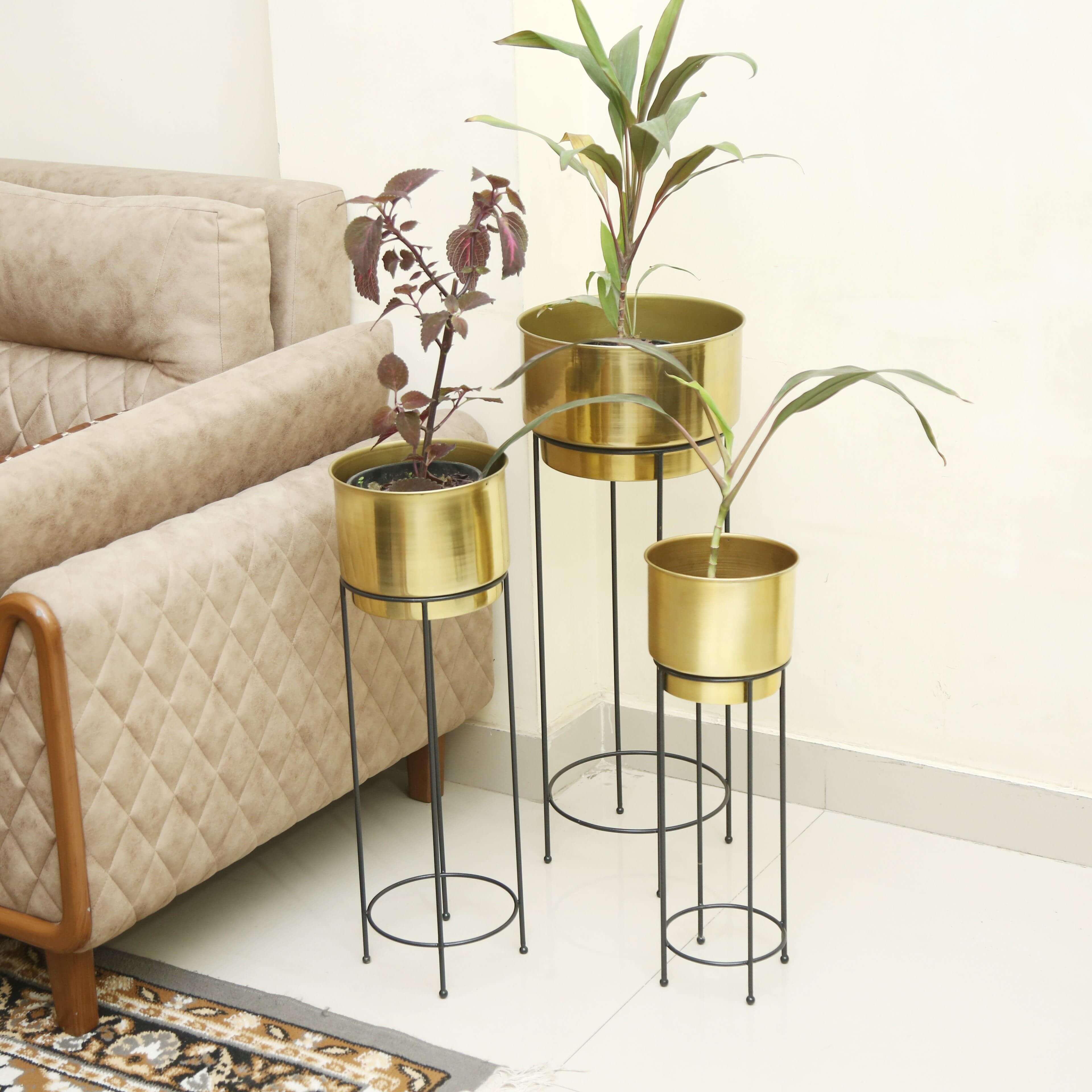 Trust Basket Create Planter Set of 3 (Gold)|With Premium Strong Durable Stand for Living Room